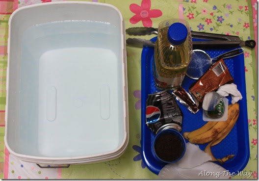 Along the Way: Experiment ~ Can You Undo Water Pollution?